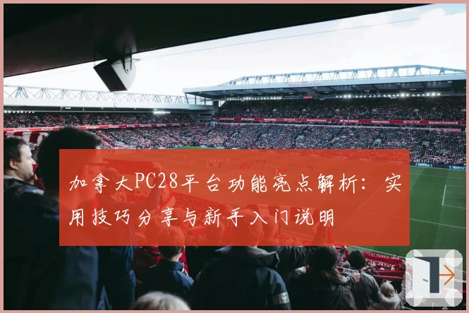 加拿大PC28平台功能亮点解析：实用技巧分享与新手入门说明