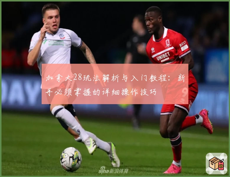 加拿大28玩法解析与入门教程：新手必须掌握的详细操作技巧