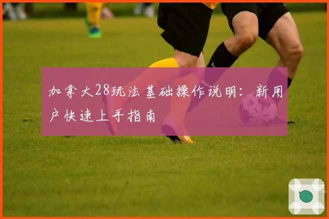 加拿大28玩法基础操作说明：新用户快速上手指南