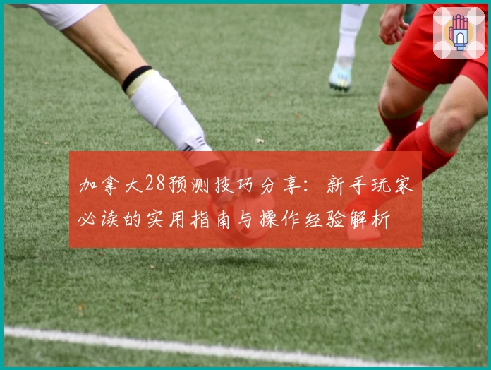 加拿大28预测技巧分享：新手玩家必读的实用指南与操作经验解析