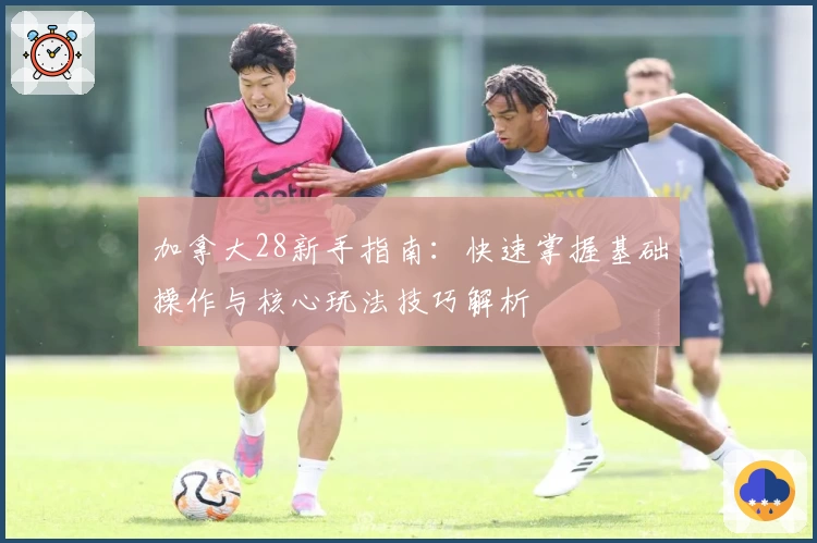 加拿大28新手指南：快速掌握基础操作与核心玩法技巧解析