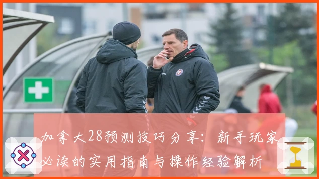 加拿大28预测技巧分享：新手玩家必读的实用指南与操作经验解析