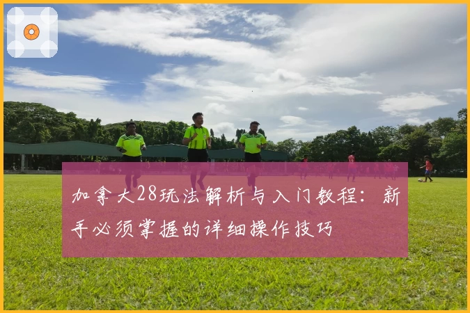 加拿大28玩法解析与入门教程：新手必须掌握的详细操作技巧