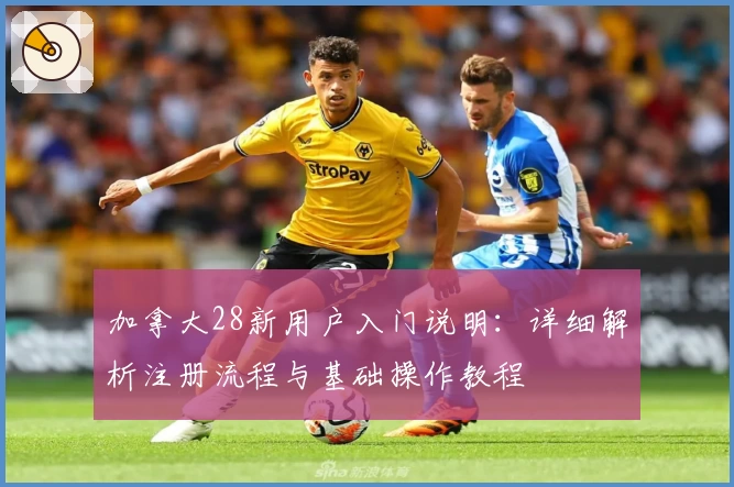 加拿大28新用户入门说明：详细解析注册流程与基础操作教程