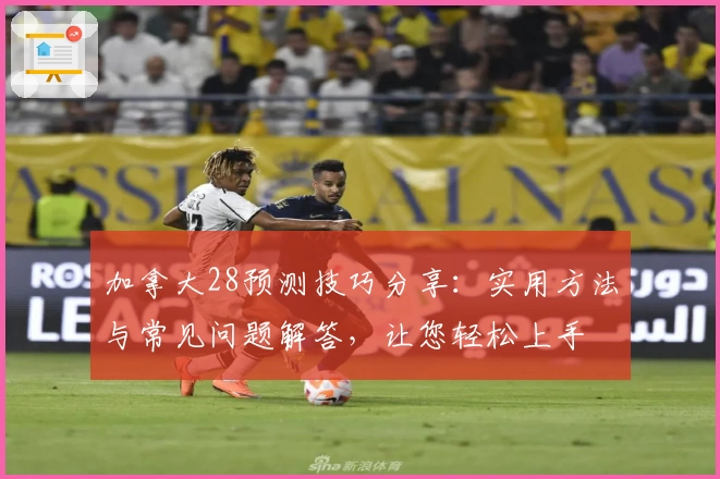 加拿大28预测技巧分享：实用方法与常见问题解答，让您轻松上手