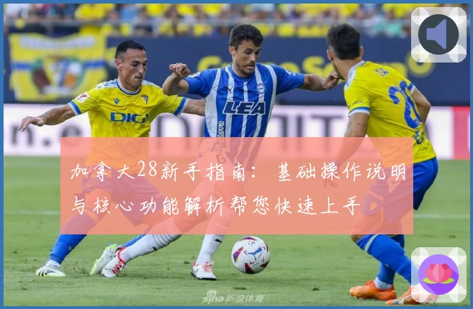 加拿大28新手指南:基础操作说明与核心功能解析帮您快速上手