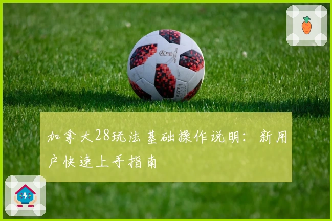 加拿大28玩法基础操作说明：新用户快速上手指南