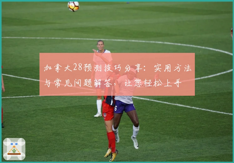 加拿大28预测技巧分享：实用方法与常见问题解答，让您轻松上手