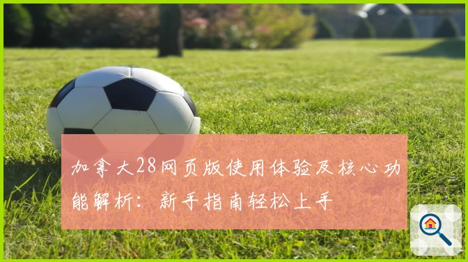 加拿大28网页版使用体验及核心功能解析：新手指南轻松上手